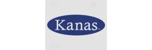 Kansa